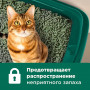 Napkins Растительный комкующийся наполнитель Зеленый Чай