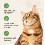 Van Cat Super Premium Cat Litter W405