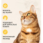 Van Cat Super Premium Cat Litter Vanilla Perfumed W225