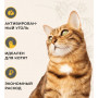 Van Cat Super Premium Cat Litter Activated Carbon Grey G225 10L