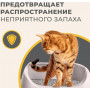 Van Cat Super Premium Cat Litter Activated Carbon Grey G225 10L