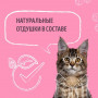 Smart Cat Cиликагелевый наполнитель Детская Присыпка