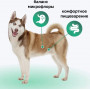 Organix Adult Dog Sensitive Индейка
