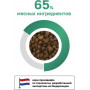Organix Original Adult Cat Sensitive Лосось
