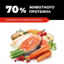 GO’KITCHEN Cat Grain Free Лосось и Треска с Фруктами и Овощами