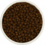 GO’KITCHEN Cat Grain Free Лосось и Треска с Фруктами и Овощами