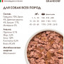 Grandorf Dog Adult Grain Free Beef, Sweet Potato, Cauliflower Pate