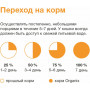 Organix Adult Cat Суп из Индейки