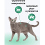Organix Adult Cat Паштет Говядина