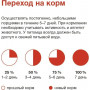 Organix Adult Cat Говядина в соусе  