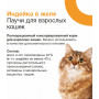 Organix Adult Cat Индейка в желе