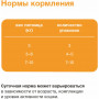 Organix Adult Cat Индейка в желе