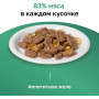 Organix Adult Cat Лосось в желе