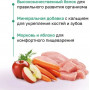 Organix Крем-суп из мяса индейки, 5 шт x 15 г