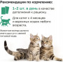 Organix Крем-суп из мяса индейки, 5 шт x 15 г