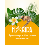  Florida Kitten кусочки с Лососем в соусе