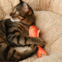 Игрушка для кошек Золотая рыбка с валерианой и кошачьей мятой, 23 см