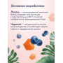 Florida Cat Крем-суп  с Лососем и Черникой
