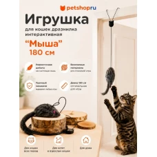 Игрушка для кошек, мышка на резинке с креплением на дверь