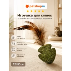 Игрушка для кошек, спресованная кошачья мята с перьями, в ассортименте