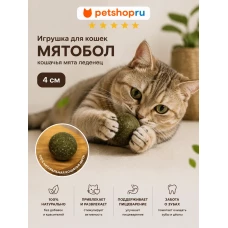 Игрушка для кошек, шар из кошачьей мяты, 4 см