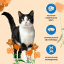 Almo Nature Adult Cat Holistic Maintenance Fresh Oily Fish 