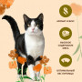 Almo Nature Adult Cat Holistic Maintenance Fresh Turkey 