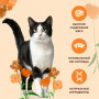 Almo Nature Adult Cat Holistic Maintenance Fresh Chicken 