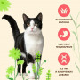 Almo Nature Adult Cat Anti Hairball Fresh Salmon