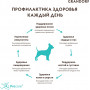 Grandorf Dog Adult Medium & Maxi 4 Meat Recipe Live Probiotics