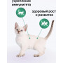Organix Original Kitten Индейка