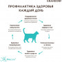 Grandorf Cat Adult Indoor 4 Meat Recipe Live Probiotics