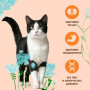 Almo Nature Adult Cat Urinary Help Fresh Chicken 
