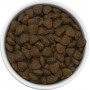 Almo Nature Adult Dog Holistic Maintenance All Breed Fresh Lamb 