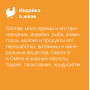 Organix Kitten Индейка в желе 