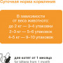 Organix Kitten Индейка в желе 