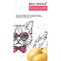 Best Dinner Cat Adult Sterilised Turkey & Potato