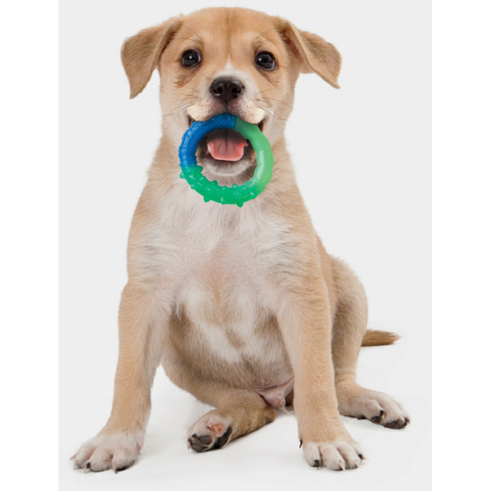 Petstages Grow With Me Ring