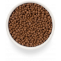 Premier Cat Adult Fresh Salmon & Turkey 