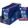Brit Premium Adult Cat Chicken & Turkey