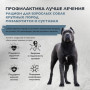 Brit Care Superpremium Dog Adult Large Chondroprotectors Turkey and Duck