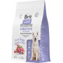 Brit Care Superpremium Dog Adult All Breeds Sensitive Healthy Digestion Turkey Lamb and Rice