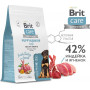 Brit Care Superpremium Puppy & Junior Large Healthy Growth Turkey and Lamb