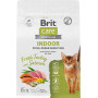 Brit Care Superpremium Cat Indoor Stool Odour Reduction Turkey and Salmon