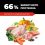 GO’KITCHEN Dog Adult Grain Free 4 вида мяса: Курица, Индейка, Лосось и Утка