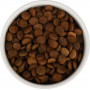 GO’KITCHEN Dog Sensitivities Grain Free Лосось и Морская Рыба с Овощами