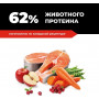 GO’KITCHEN Dog Hair & Skin Care Лосось с Фруктами и Овощами