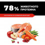 GO’KITCHEN Cat Hair & Skin Care Grain Free Лосось с Фруктами и Овощами