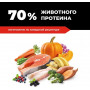 GO’KITCHEN Cat Grain Free Лосось и Морская Рыба с Фруктами и Овощами