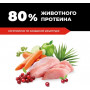GO’KITCHEN Cat Hair & Skin Care Курица с Фруктами и Овощами